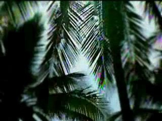 Kur-an-ı Kerim Türkçe Meali 049Hucurat Süresi