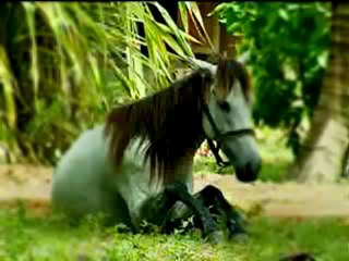 Kur-an-ı Kerim Türkçe Meali 050Kaf Süresi