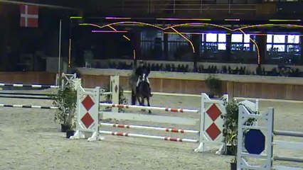 Scarlett 120 0pt morzele 160213