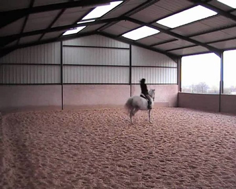 15.02.13 début assis du debout et galop sur rêne ext.