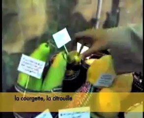 RECONSTITUTION DE LA MAISON DU PROPHETE MOHAMMED SWS !!