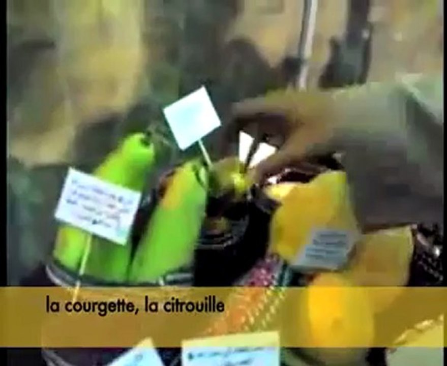 RECONSTITUTION DE LA MAISON DU PROPHETE MOHAMMED SWS !!