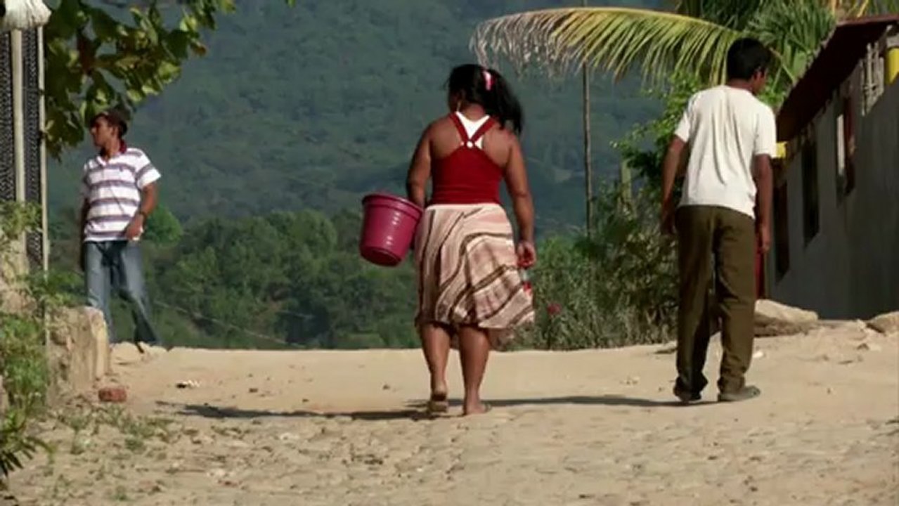 Selbstjustiz im mexikanischen drogenkrieg