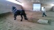 Miniature DailyMotion
