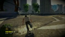 Gamplay skate ( PS3 HD )