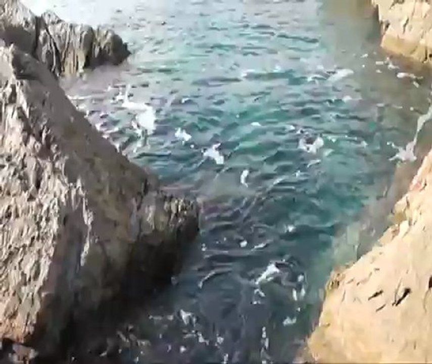 arreter de fumer_17_02-2013-par royo