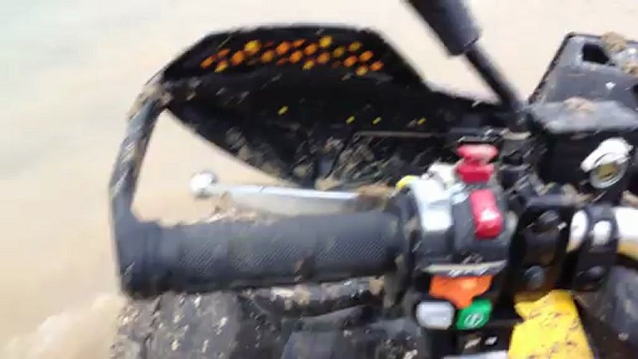 Sortie 17 02 2013 Bis