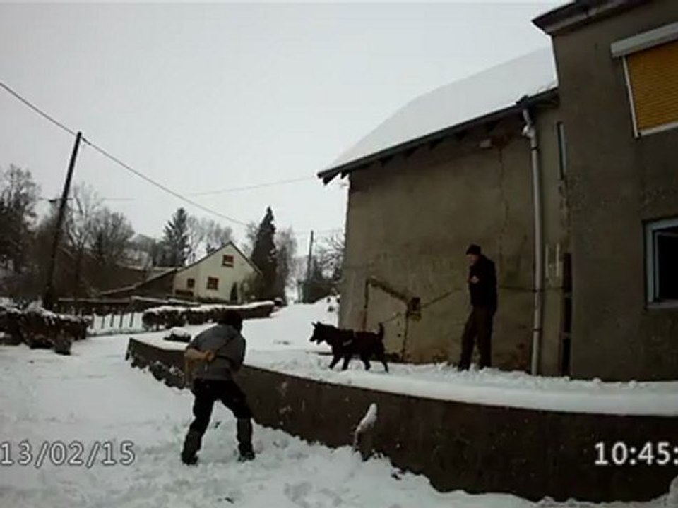 ajka entrainement mordant