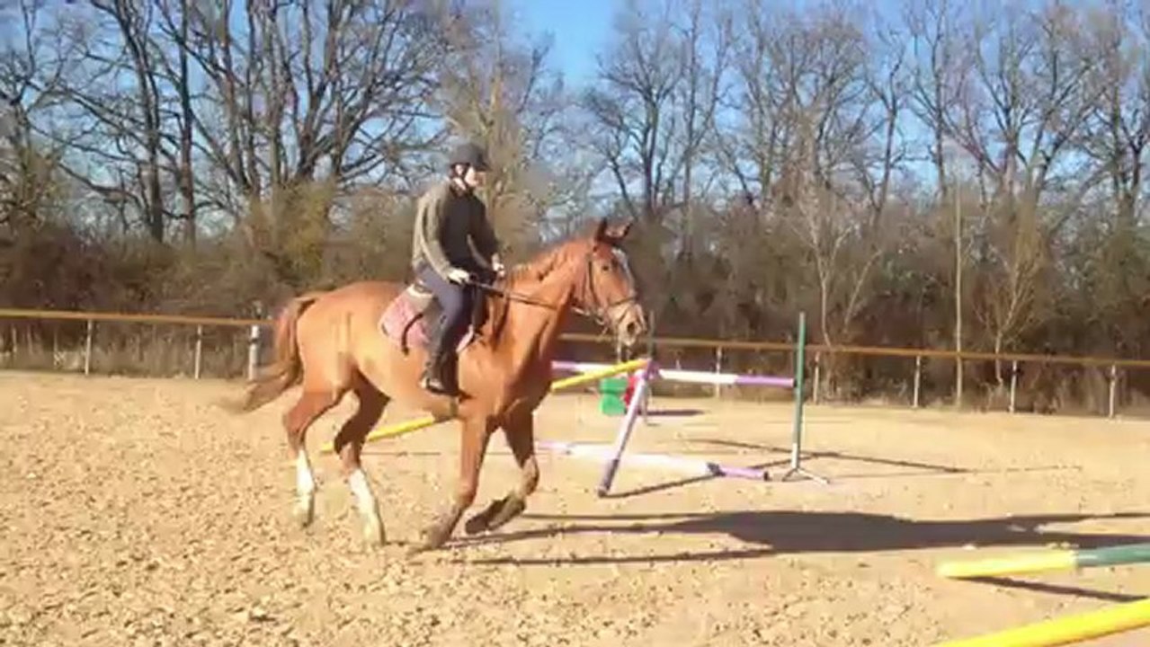 Séance avant concours