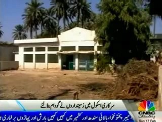 School convert into Dairy Farm IN constituency of Qaim Ali Shah PPP