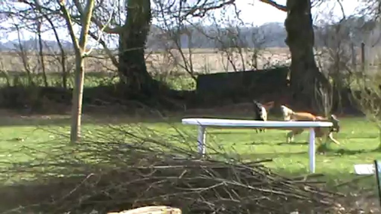 Tonique, vive, insatiable, Elsa une malou dans toute sa splendeur !!!