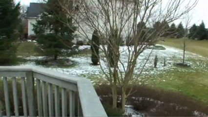 310 Landers Lane, Exton, PA