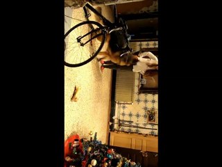 Snoopi sabote mon travaille