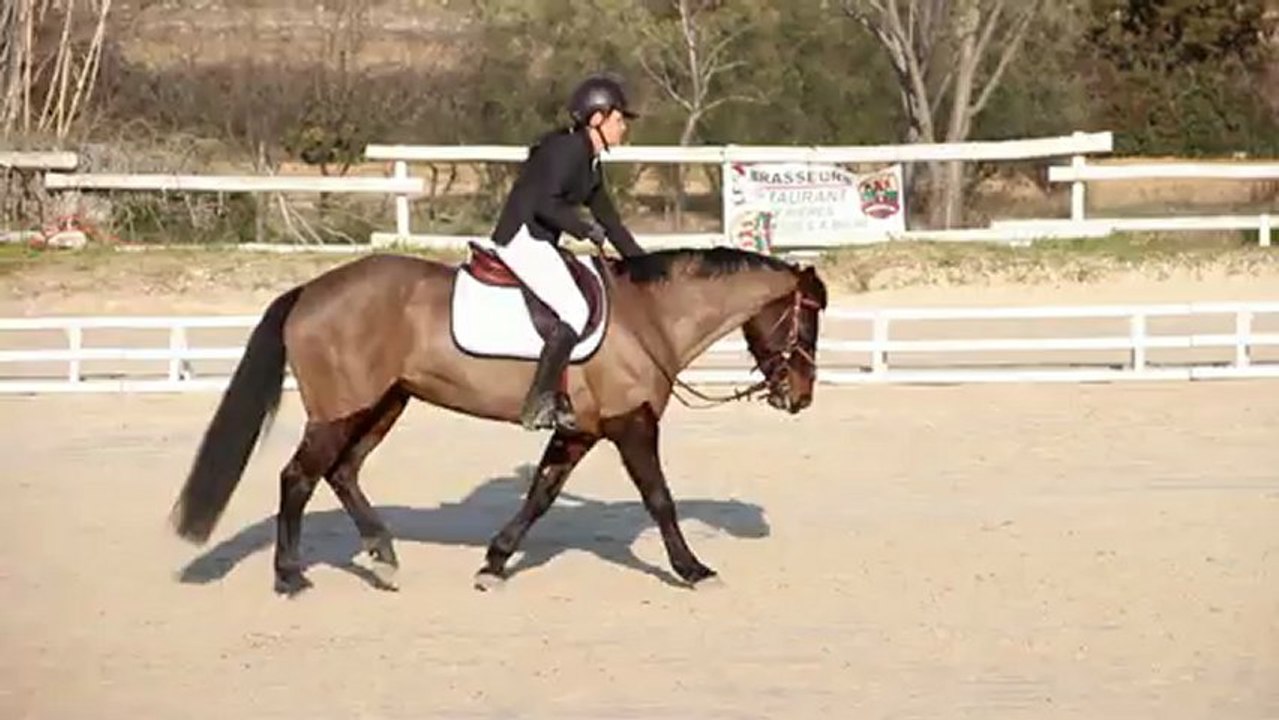 Reprise dressage club 2 entrainement Kalinka