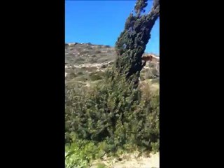 Semi-Marathon de Ghar El Melh: apercu du parcours.....