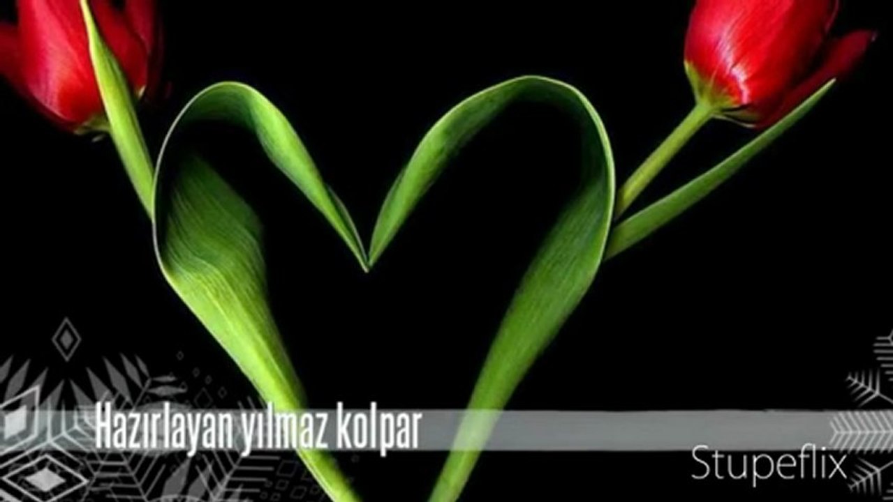 yılmaz kolpar