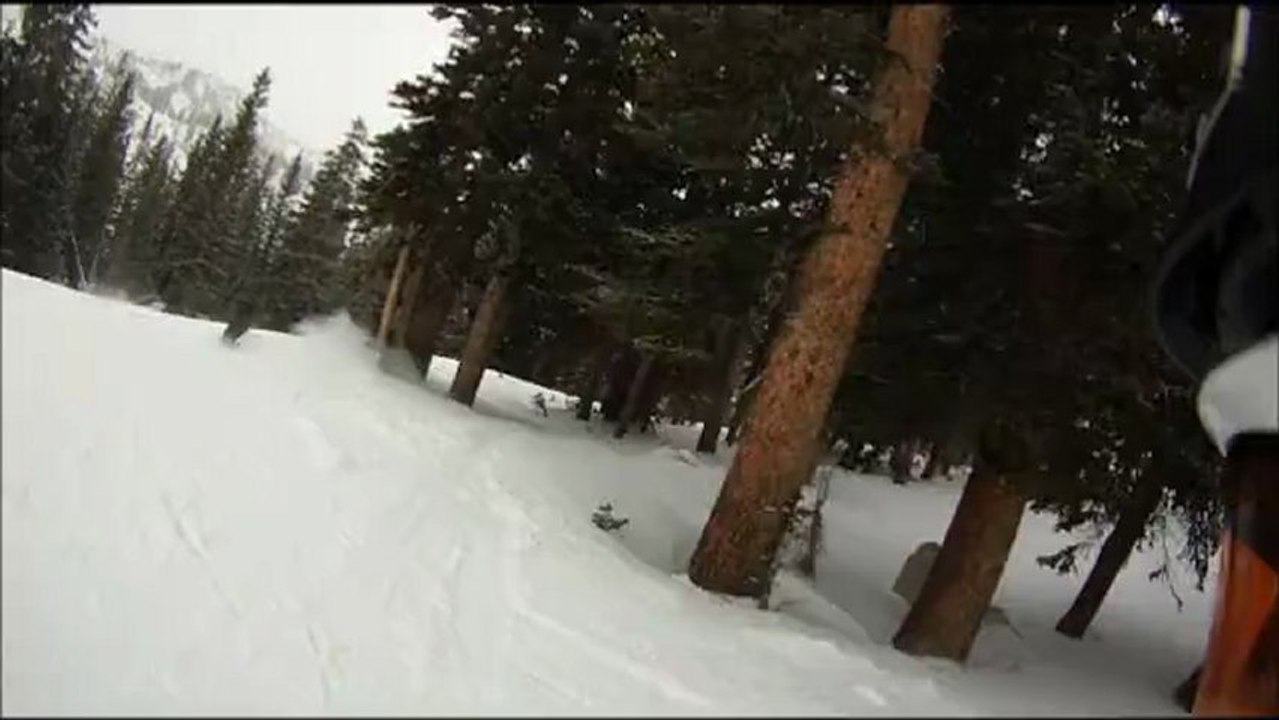 Brighton PF