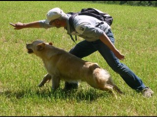 Compil First du domaine de Lavernose