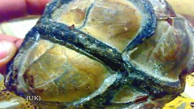 Камни карты