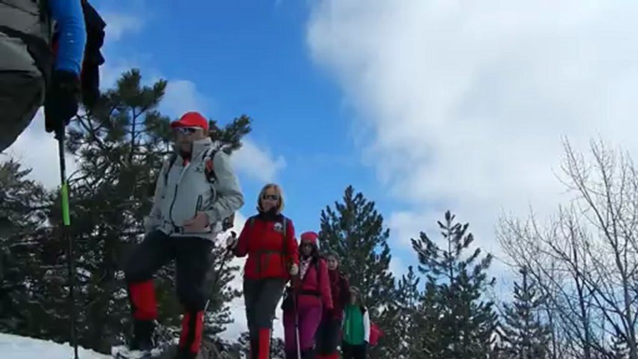 DSCN4221