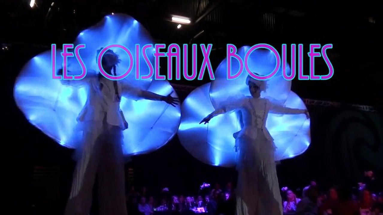 Les Oiseaux Boules_fev 2013