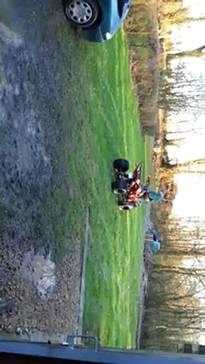 Un crapaud sur une boite d'allumettes