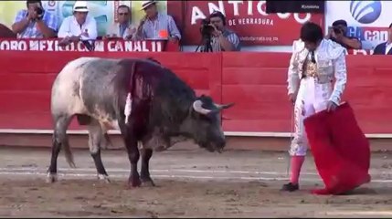SÓLIDA ACTUACIÓN DE JOSELITO ADAME EN GUADALAJARA