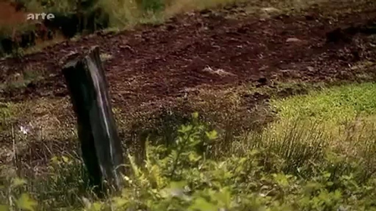 Les Germains- Barbares contre Romains(COMPLET!)