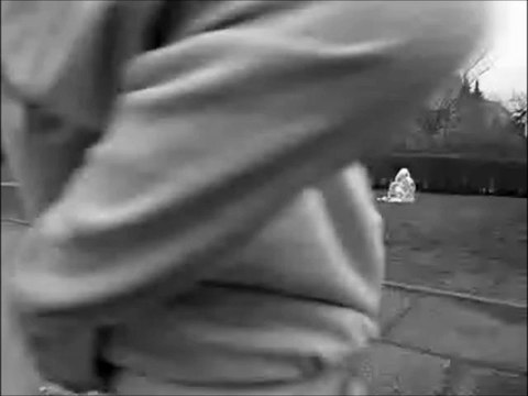 jordan+dunk=manifique