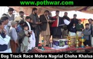 Dog Track Race Mohra Nagrial Choha Khalsa