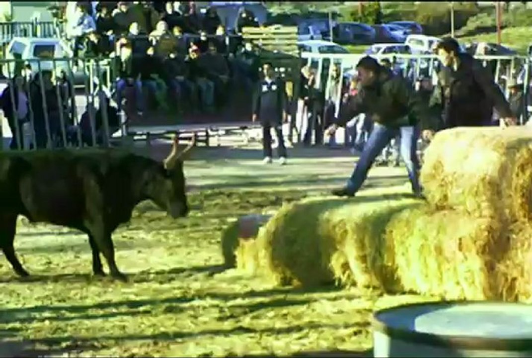 course au plan a aigues vives 16 02 2013