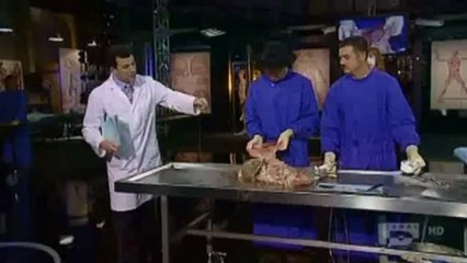 La leçon d anatomie - 3ième épisode - La digestion