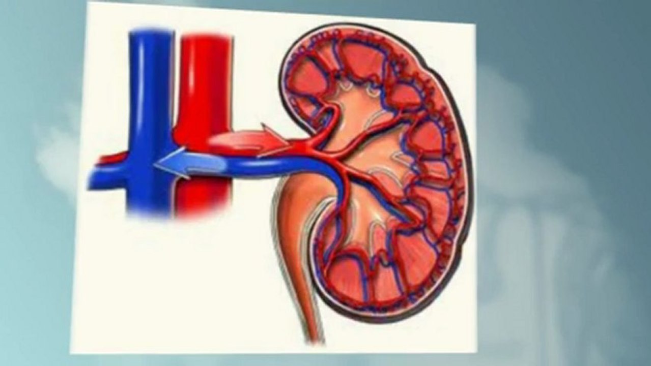 Renal Failure Symptoms - Symptoms Of Kidney Disease & Kidney Failure