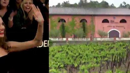 Jolie und Pitt machen Wein