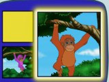 Les Orang-outans - Go Diego