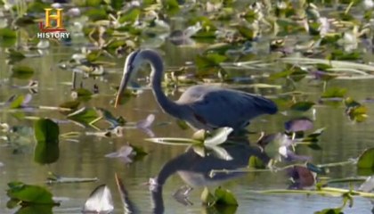 İnsanlardan Sonra Hayat: Su