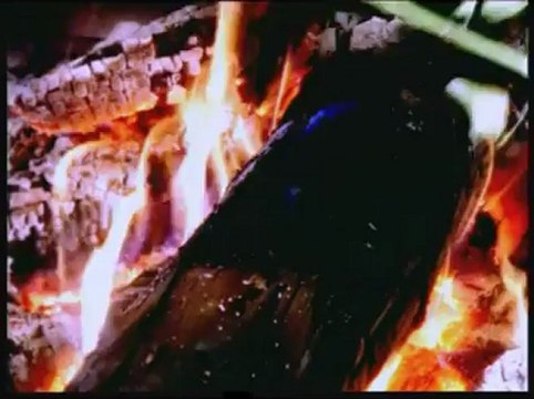 MUAZZEZ ERSOY GÜZ GÜLLERİ