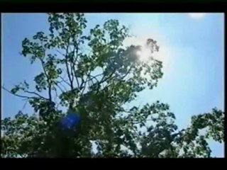 Man dies from the placebo effect