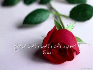 تلاوة من أجمل ما سمعت للمقرئ صديق المنشاوي