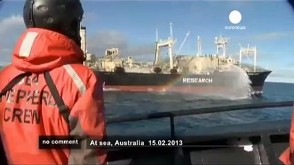 Sea Sheperd défie les baleiniers japonais - no comment