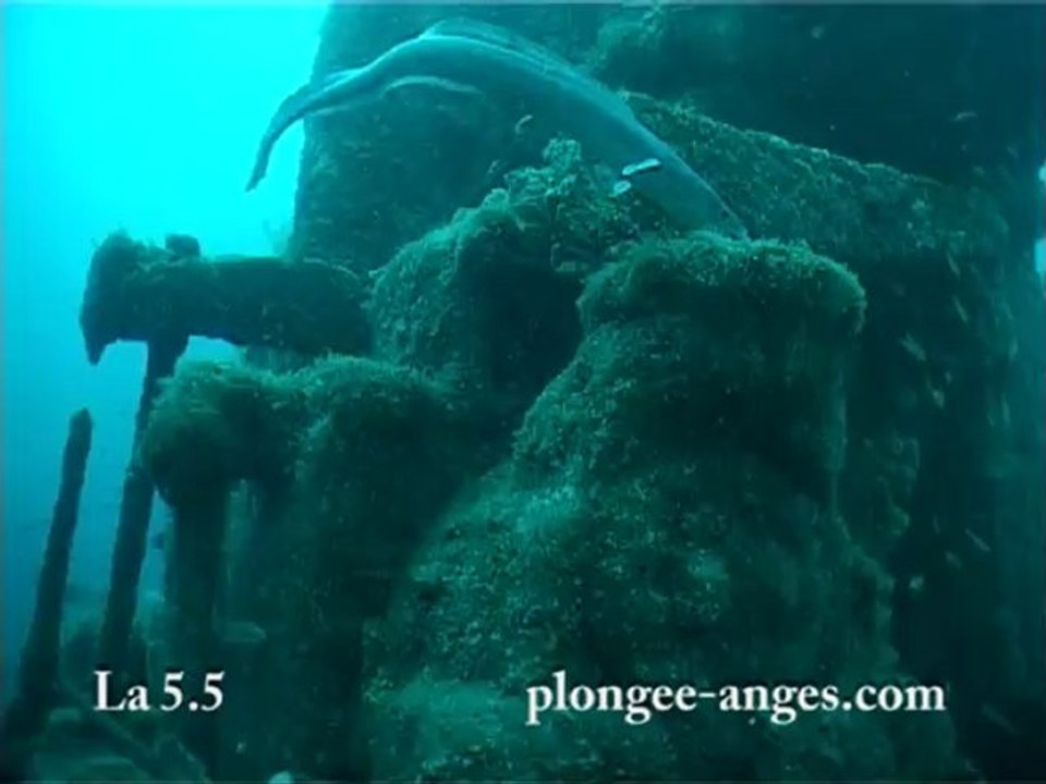 la 5.5