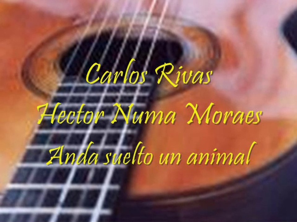 Carlos Rivas Anda suelto un animal