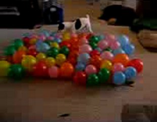 태양성카지노 ☛❦ Q­c­h­1­3­8­.­c­o­m ❦☚ 월드라이브바카라