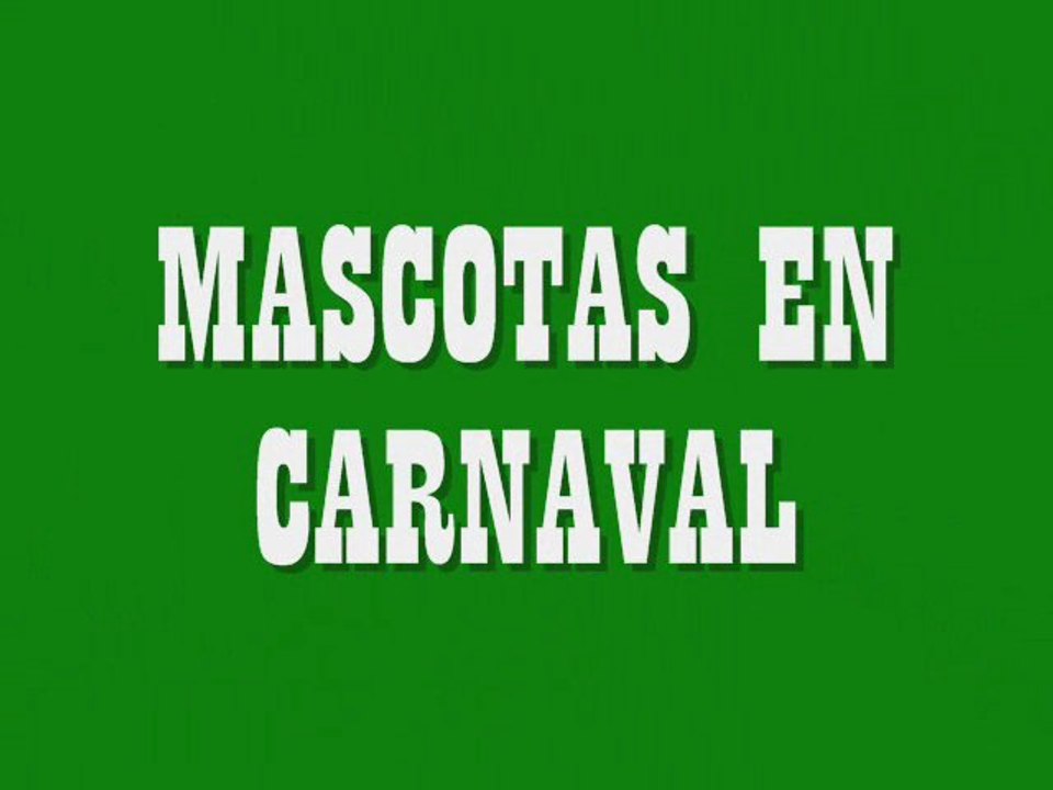 Mascotas en carnaval