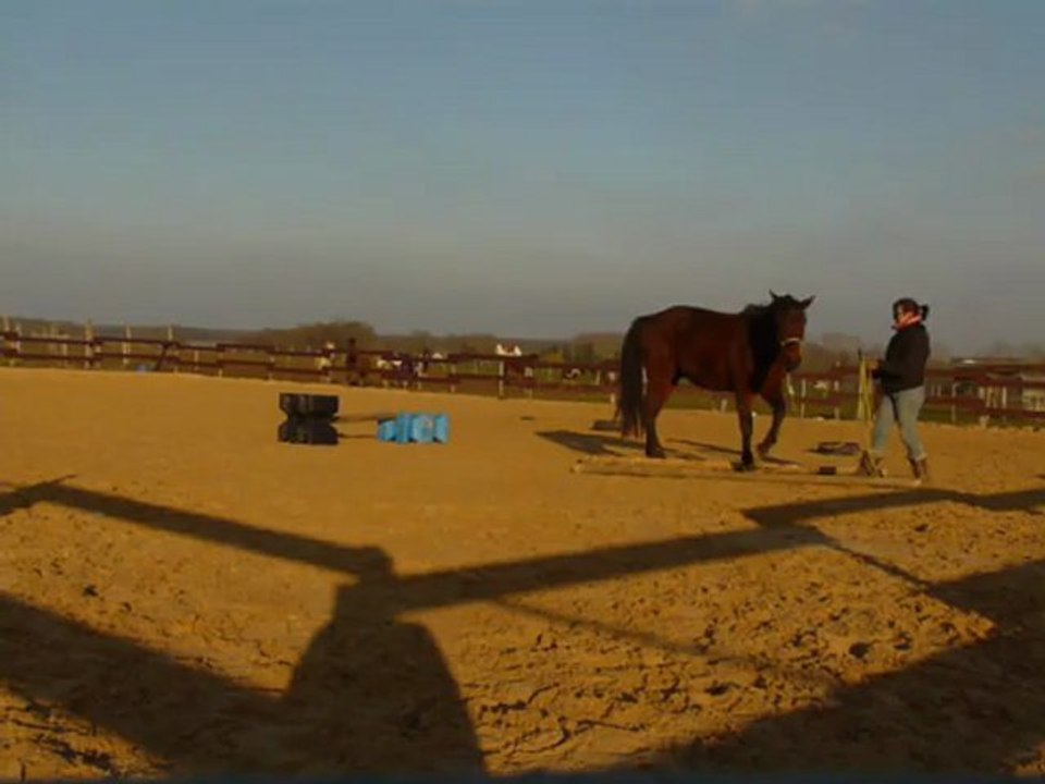 18_02_13_epaules