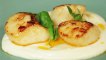 Simply Gourmet: Seared Scallops With Chorizo Butter, Cauliflower Puree And Pea Shoots
