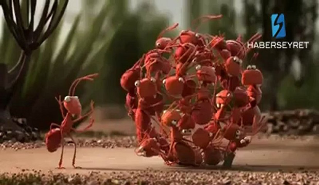 Takım çalışması (animasyon flim)