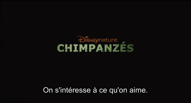 Chimpanzés - Featurette Préservation des Chimpanzés [VOST|HD] [NoPopCorn]