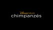 Chimpanzés - Making-of "Les coulisses du tournage" [VOST|HD] [NoPopCorn]