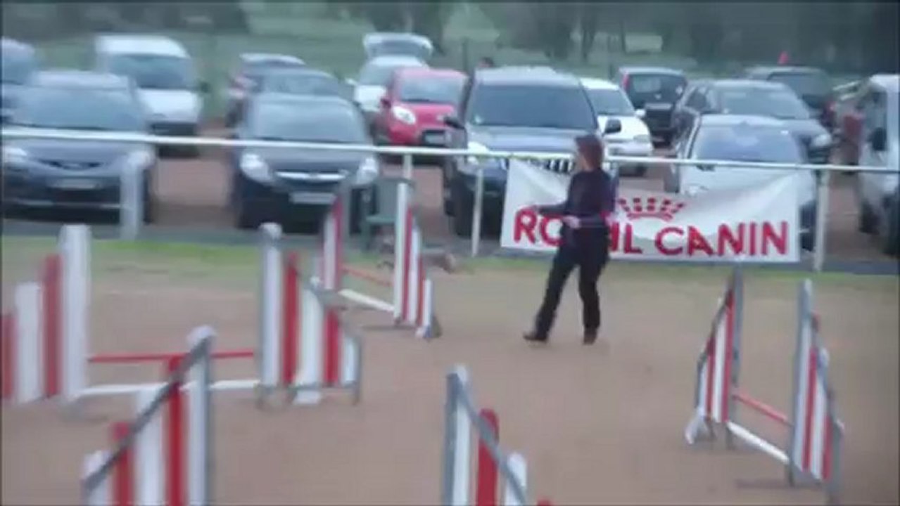 Fonzy GPF Cholet 02-2013